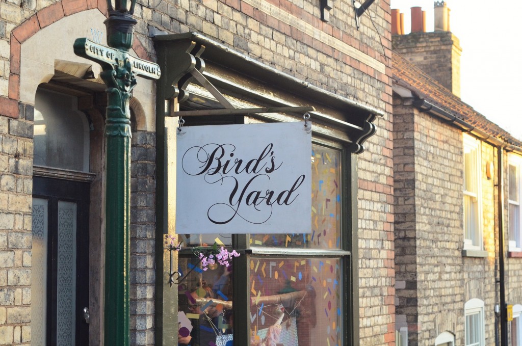 Lincoln Birds Yard