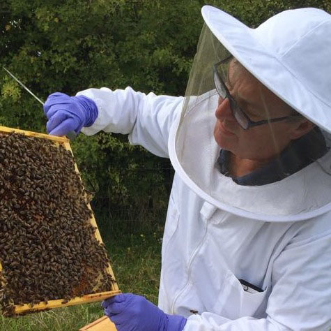 Warborough Honey Oxford