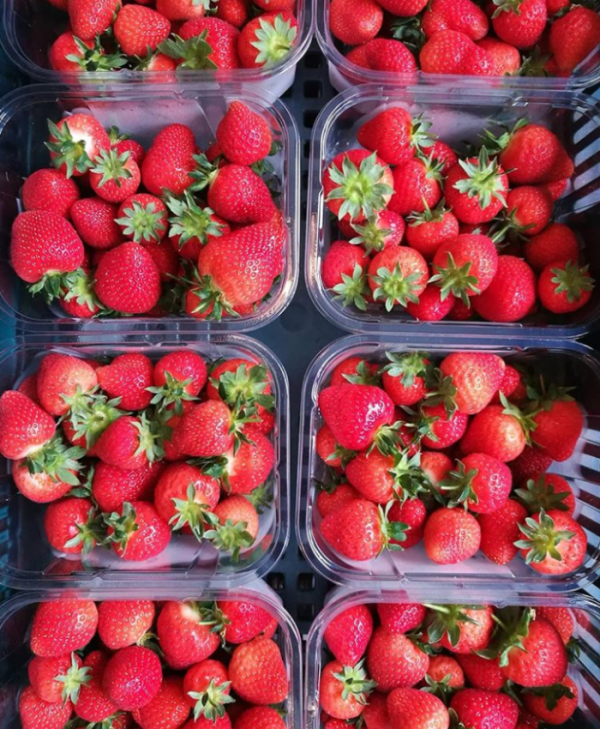 2 North Parade Strawberries