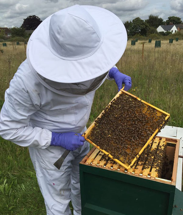 Warborough Honey Oxfordshire