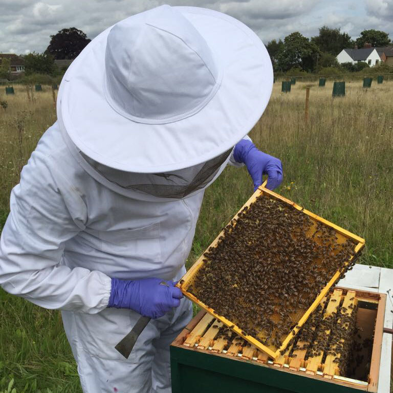 Warborough Honey Oxfordshire