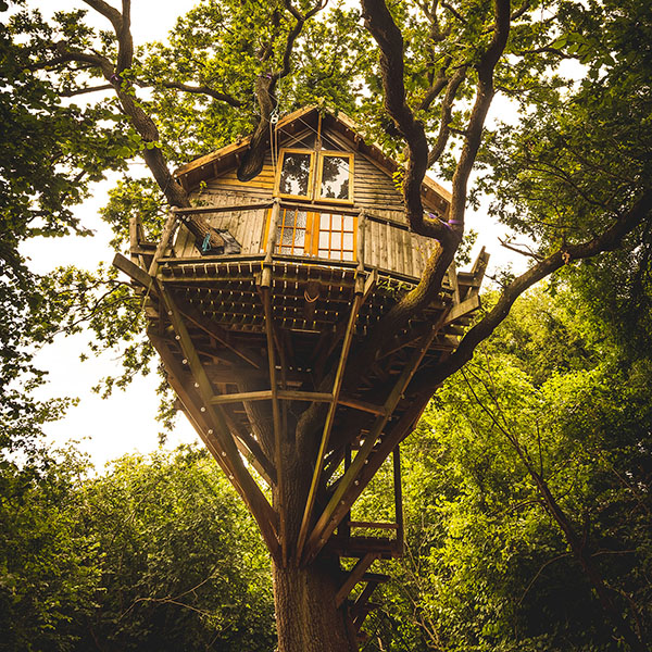 the Treehouse Festival Oxfordshire the Treehouse Festival Oxfordshire