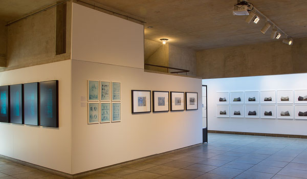 North Wall Arts Centre