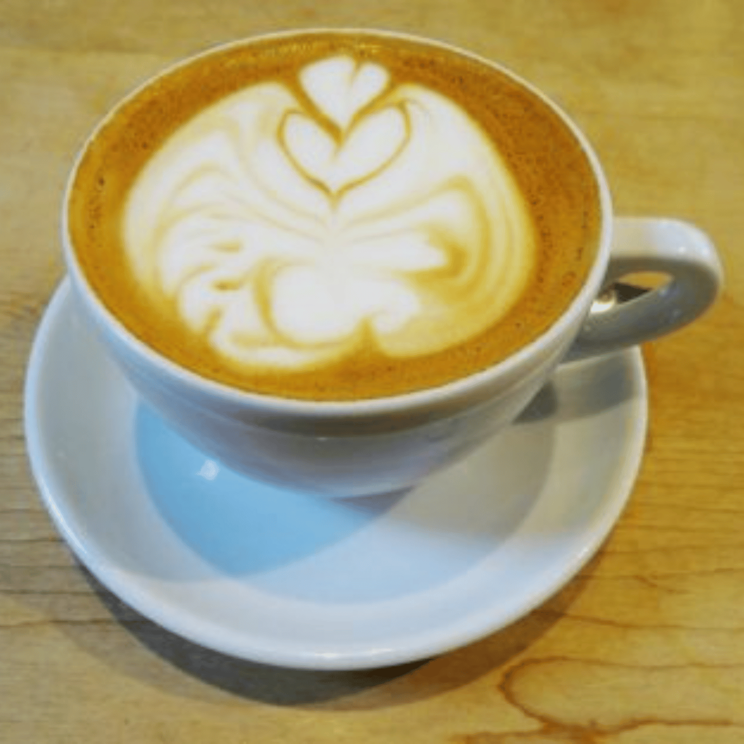 Society Cafe