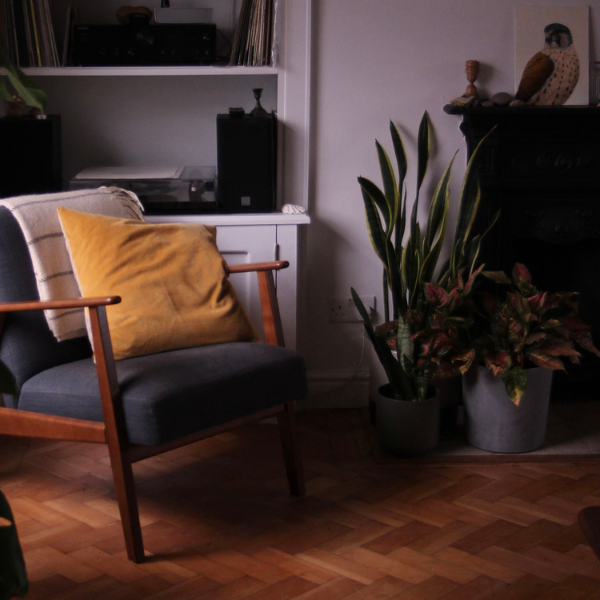 Shortland + Hall