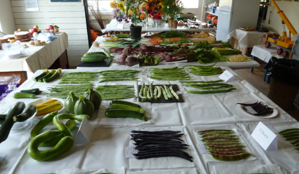 Elder Stubbs Charity Allotments Elder Stubbs Charity Allotments