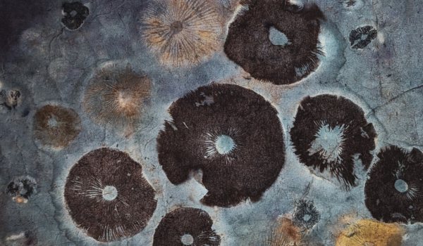 molly-palmrock-1 Molly Palmrock