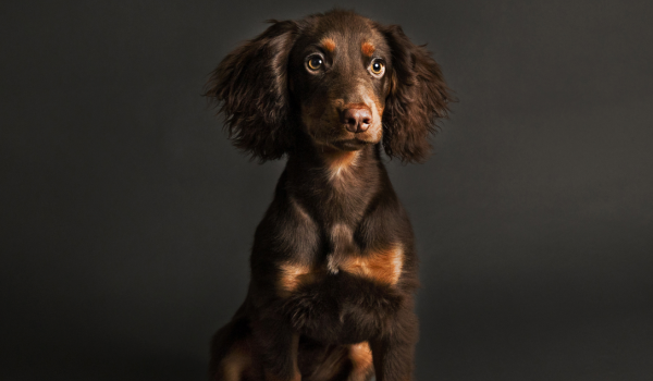 laura Laura Greene Photography