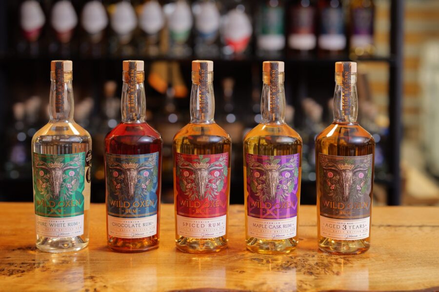Five bottles of Wild Oxen Rum lined up on a wooden bar counter, lit by a warm pendant light. From left to right: Pure White Rum, Chocolate Rum, Spiced Rum, Maple Cask Rum, and Aged 3 Years. Each bottle features a decorative label with a bull skull illustration in a different colour — green, red, orange, purple, and dark brown respectively. Shelves of spirits are visible in the softly blurred background.