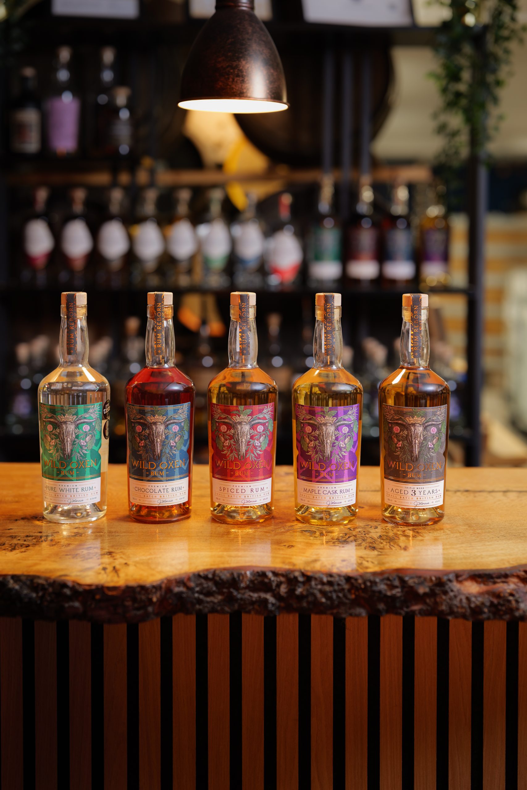 Five bottles of Wild Oxen Rum lined up on a wooden bar counter, lit by a warm pendant light. From left to right: Pure White Rum, Chocolate Rum, Spiced Rum, Maple Cask Rum, and Aged 3 Years. Each bottle features a decorative label with a bull skull illustration in a different colour — green, red, orange, purple, and dark brown respectively. Shelves of spirits are visible in the softly blurred background.